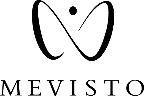 Logo von Mevisto in Schwarz mit stilisiertem M und kleinem Kreis oben.